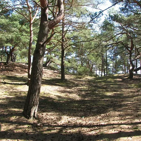 Apartament Nadmorska Wydma W Ustce * Ustka